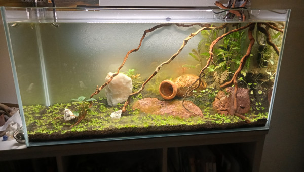 Difficile à démarrer avec cette cuve