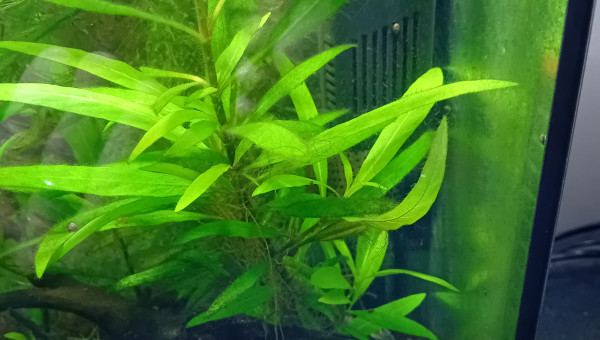 le petit bout repart