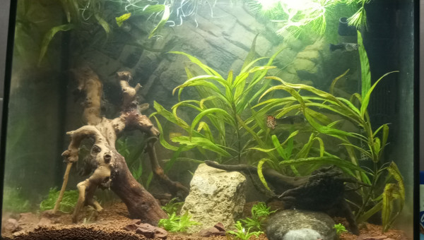 Changement de lumiere