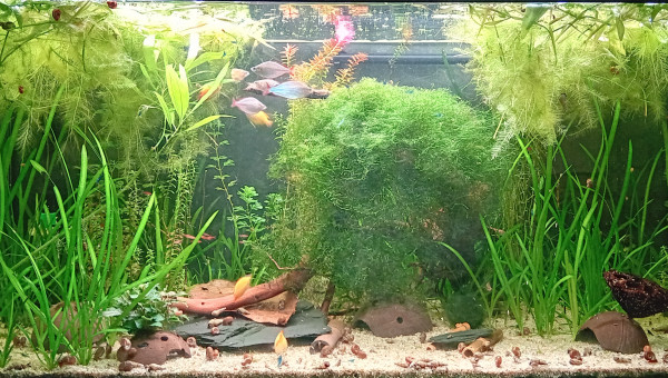 Passage au fond noir