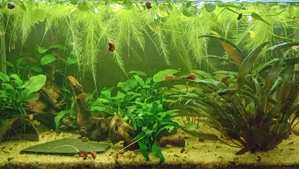 Passage au fond noir 2