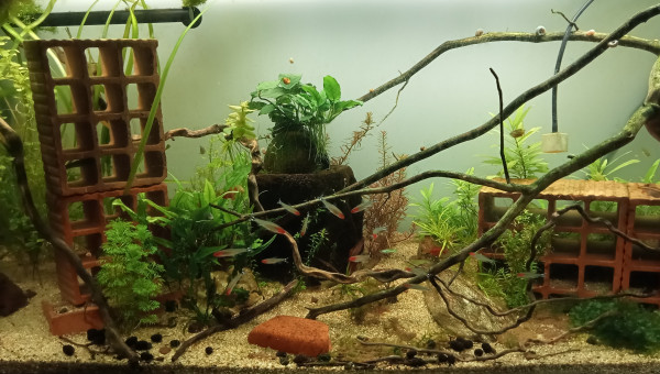 Ça évolue super bien