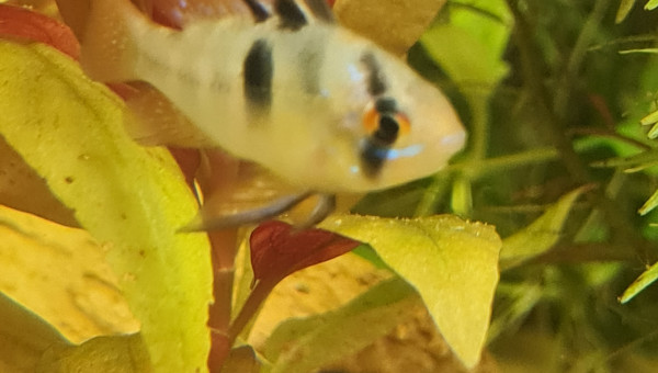 Retour de la bourse 91