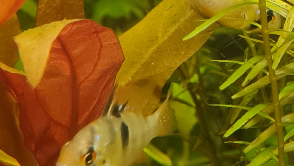 Retour de la bourse 91