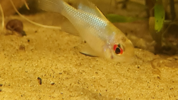 Retour de la bourse 91