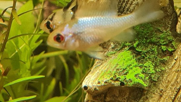 Retour de la bourse 91