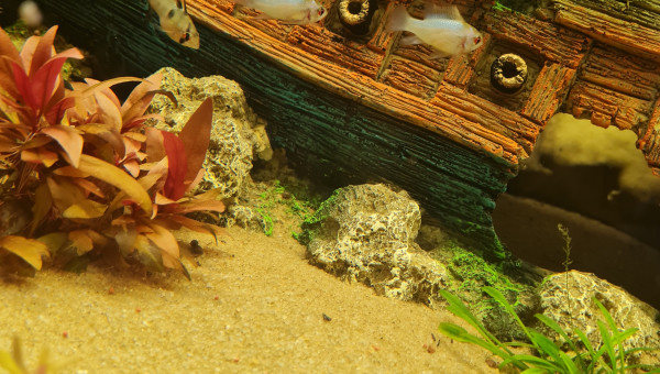 Retour de la bourse 91