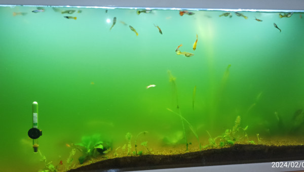 après un passage médicamenteux