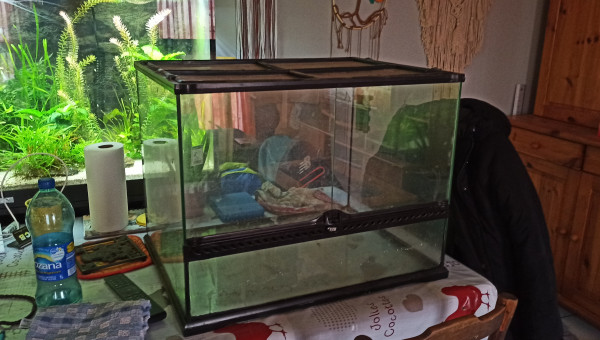 Terrarium 120L