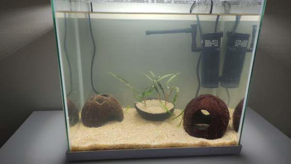 Démarrage sans poisson