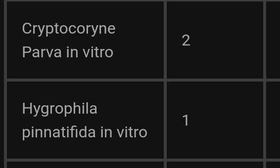 Les plantes sont en route