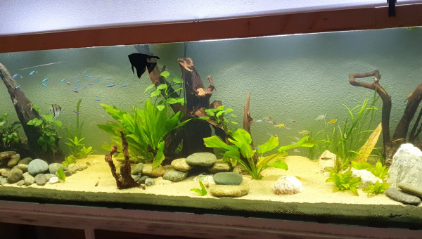 Quand la nature reprend ses droits