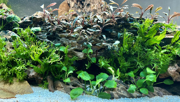 Le commencement, la suite