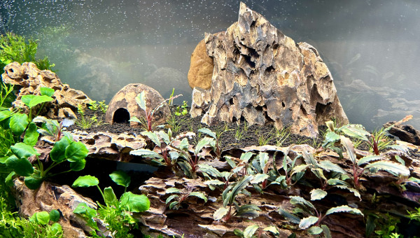 Le commencement, la suite