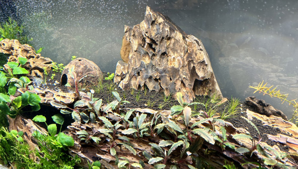 Le commencement, suite 2