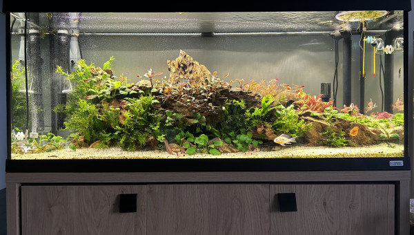 Le commencement, suite 3