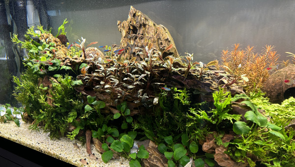 Le commencement, suite 3