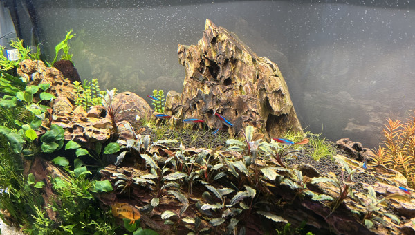 Le commencement, suite 3