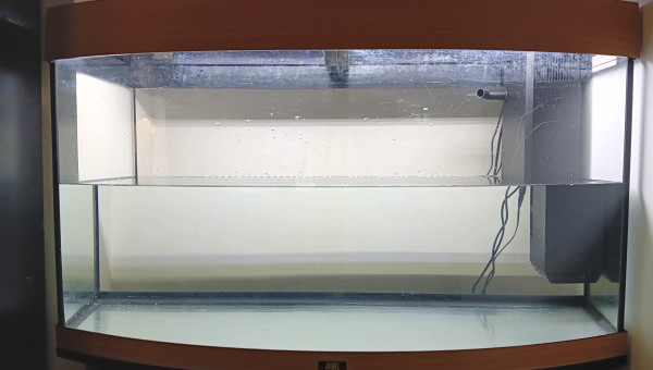 Remplissage - mise en eau 2 semaines