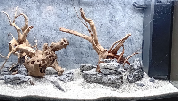 Différents tests a vide