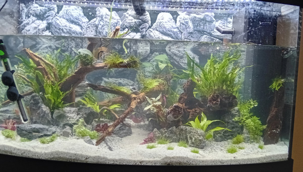 Mise en place 2e chauffage le temps de mettre en route