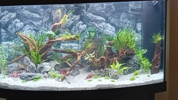 18h - on va pouvoir mettre en route