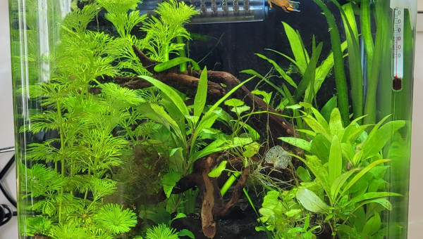 Petit entretien hebdomadaire