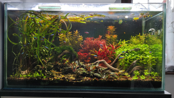 ancienne version de mon bac