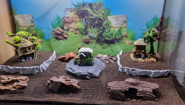 Aquarium sans eau
