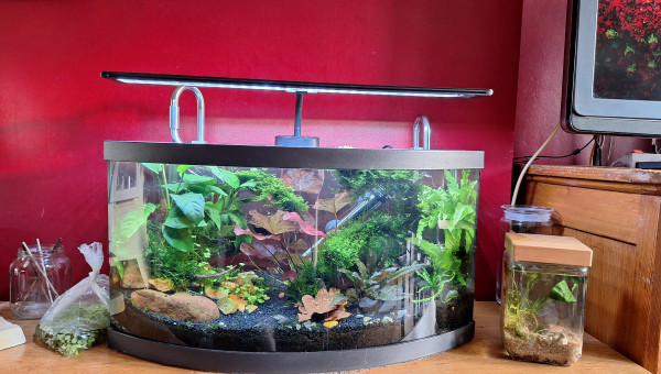 Installation des tuyaux inox