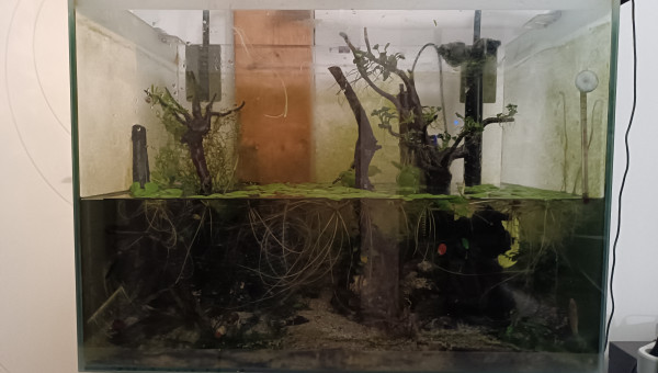 Drame du dimanche soir !