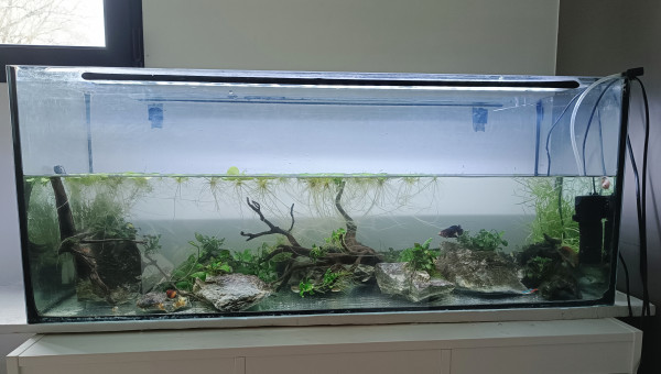 Drame du dimanche soir !