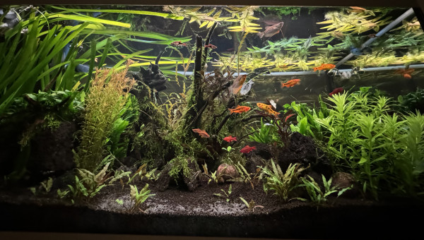 Extinction des lumières en toute douceur.