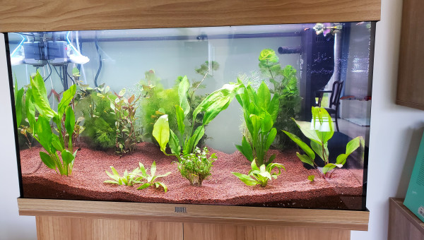 24 h après mise en eau