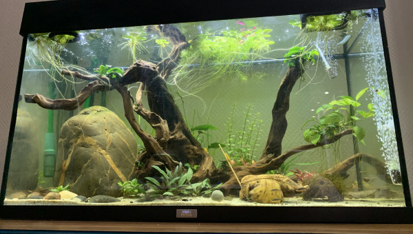 Traitement omnipur terminé