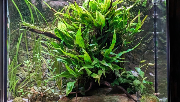 Photo du 02 avril 2024, après 13 mois