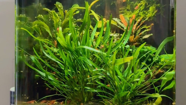 SItuation après 1 an