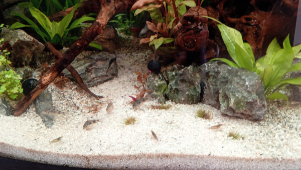 8 Cory ca va commencer a bouger