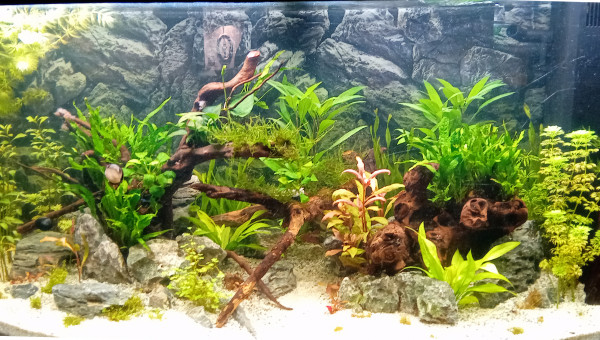 Commence a être sympa