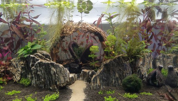 3.0 je pense le chemin tiendra pas je pense