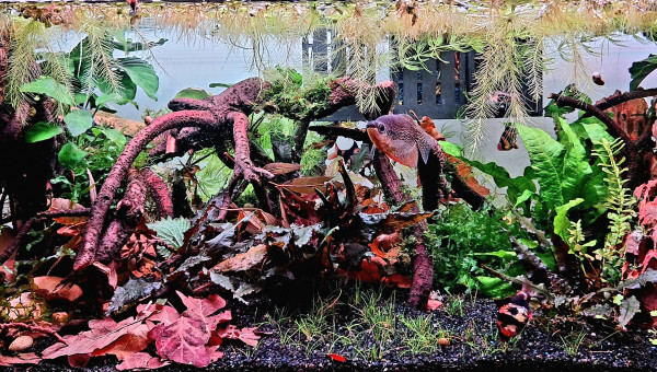 Ajout de quelques bricoles