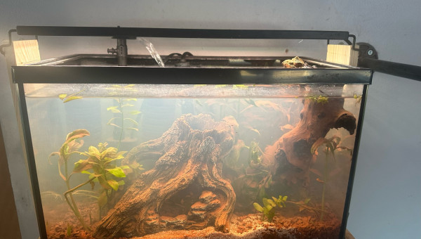 3 jours après mise en eau