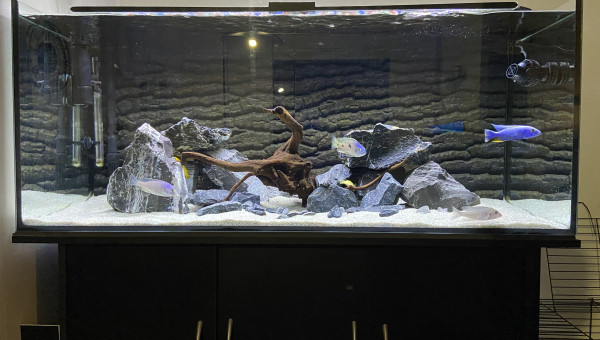 Bac refait en mars 2024