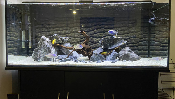 Bac refait en mars 2024