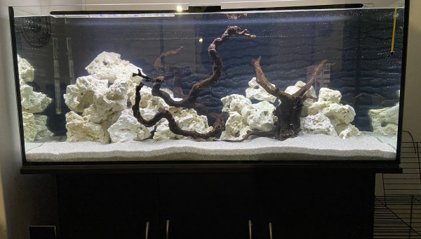 Création du bac en Mars 2023