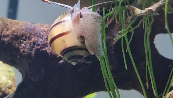 Petite nouvelle du bac