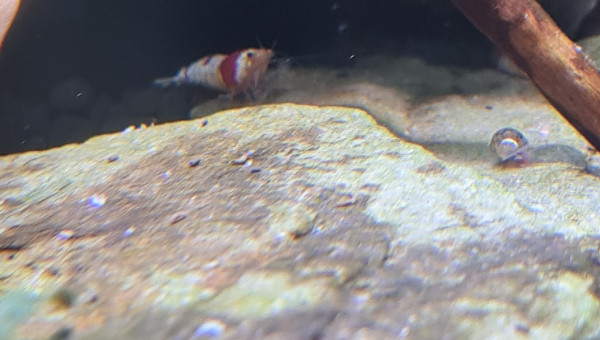 Quelque nouvelles du bac en photo