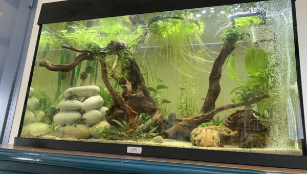 Le moment le moins plus stressant pour mon aquarium ?