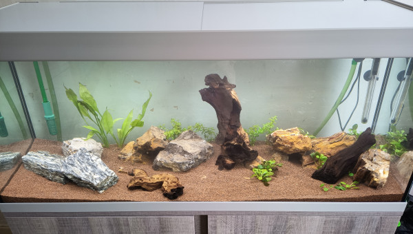 20 min après le premier remplissage