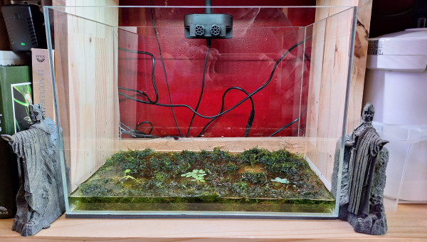 Peut-on appeler ça une mise en eau ?